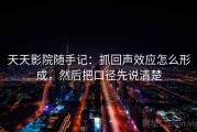 天天影院随手记：抓回声效应怎么形成，然后把口径先说清楚